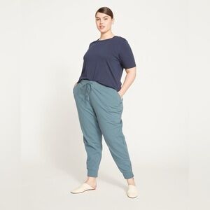 Universal standard ankle zip heather brushed drawstring joggers goblin blue